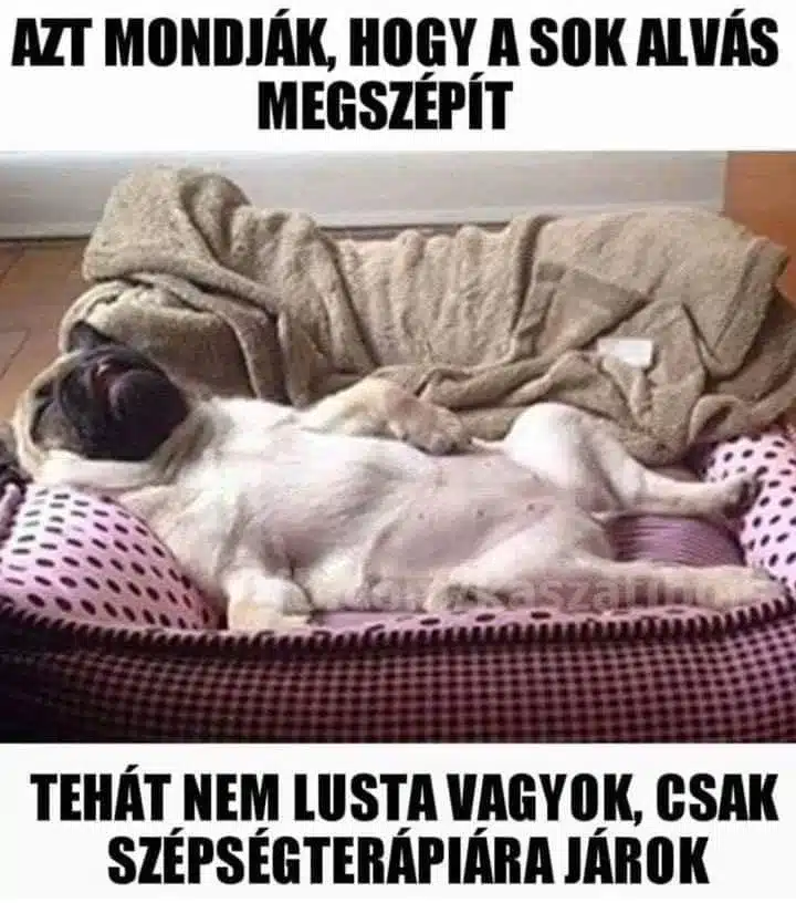 Vicces képek - 1738566004 Vicces képek – 1738566004