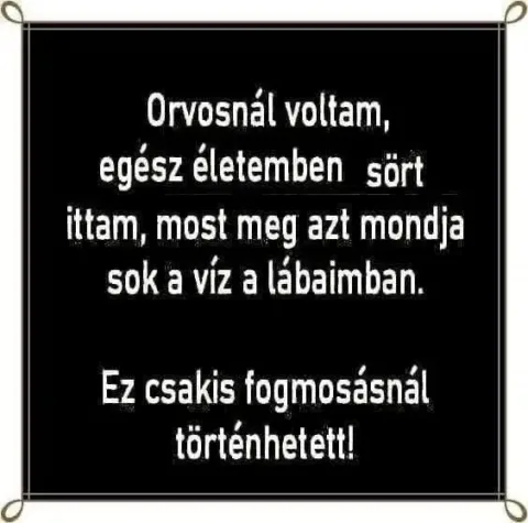 Vicces képek – 1739084408
