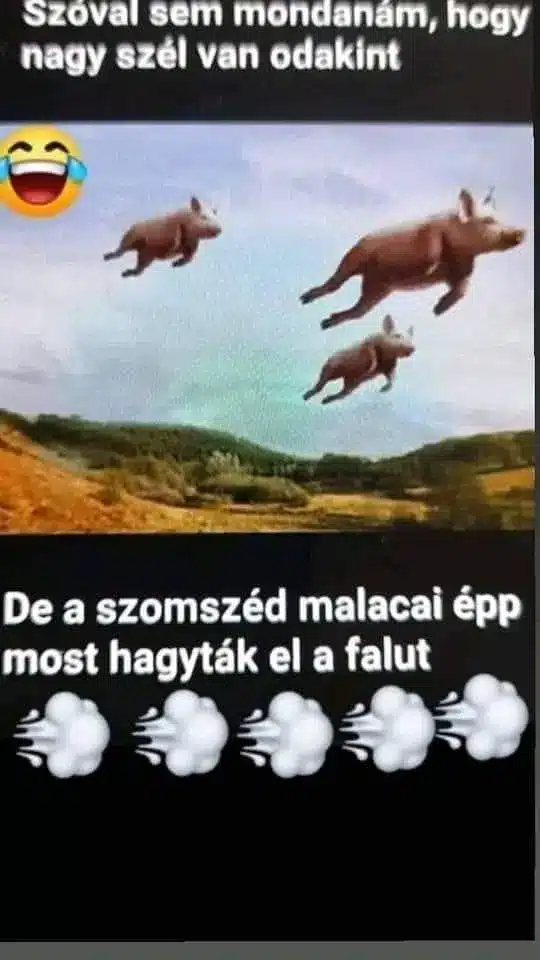 Vicces képek - 1738679342 Vicces képek – 1738679342