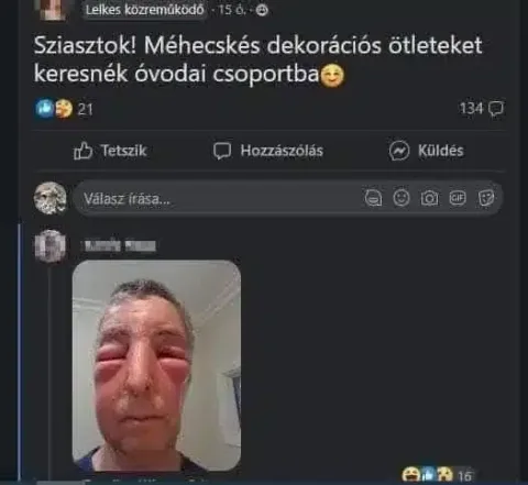 Vicces képek – 1739040067