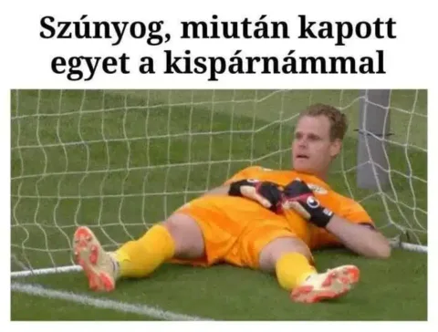 Vicces képek – 1739100283