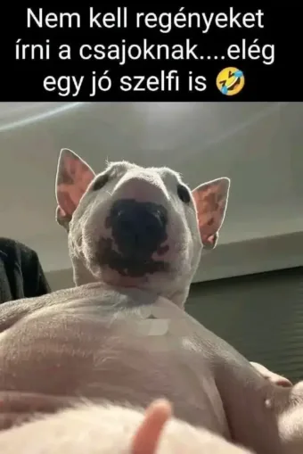 Vicces képek – 1739100258