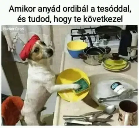 Vicces képek – 1739125315