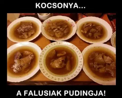 Vicces képek – 1739260473