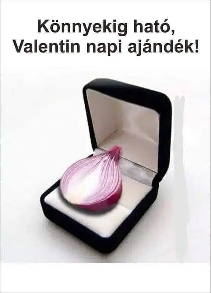 Vicces képek - 1739371805 Vicces képek – 1739371805