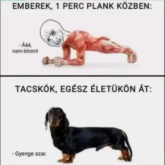 ]
