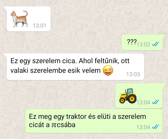 macska és szerelem