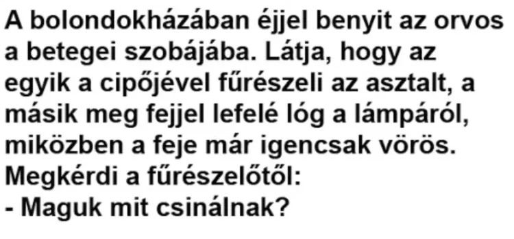 Vicc: A bolondokházában éjjel benyit az orvos a betegei... Vicc: A bolondokházában éjjel benyit az orvos a betegei…