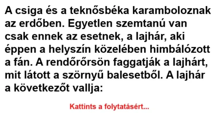 Vicc: A csiga és a teknősbéka karamboloznak az erdőben - Vicc: A csiga és a teknősbéka karamboloznak az erdőben –