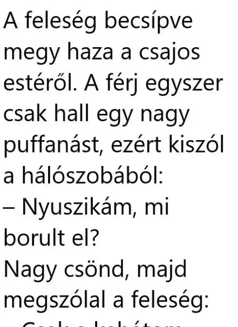 Vicc: A feleség becsípve megy haza Vicc: A feleség becsípve megy haza