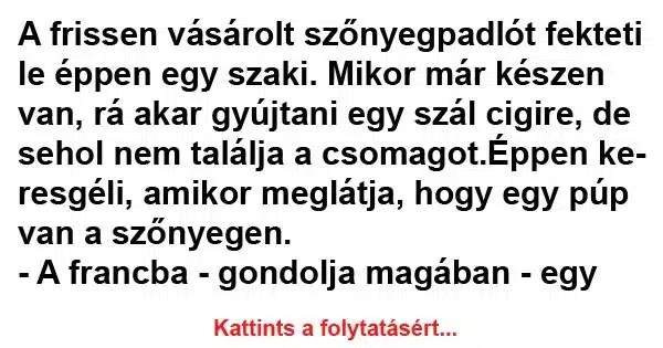 Vicc: A frissen vásárolt szőnyegpadlót fekteti le éppen... Vicc: A frissen vásárolt szőnyegpadlót fekteti le éppen…