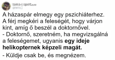 Vicc: A házaspár elmegy egy pszichiáterhez