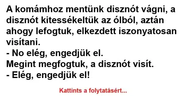 Vicc: A komámhoz mentünk disznót vágni Vicc: A komámhoz mentünk disznót vágni