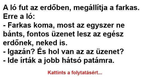 Vicc: A ló fut az erdőben, megállítja a farkas Vicc: A ló fut az erdőben, megállítja a farkas