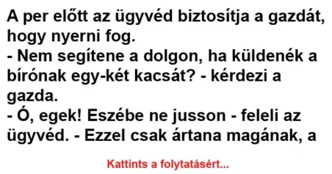 Vicc: A per előtt az ügyvéd biztosítja a gazdát