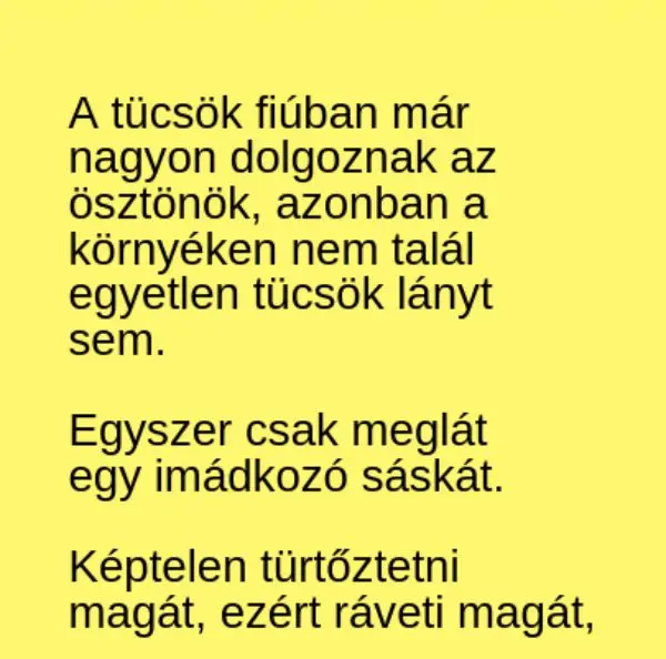 Vicc: A tücsök fiúban már nagyon dolgoznak az ösztönök Vicc: A tücsök fiúban már nagyon dolgoznak az ösztönök
