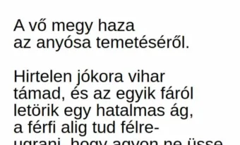 Vicc: A vő megy haza az anyósa temetéséről