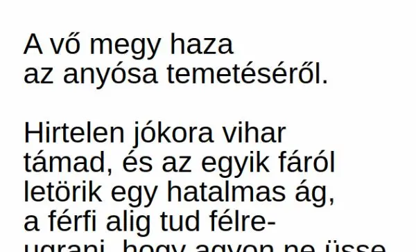 Vicc: A vő megy haza az anyósa temetéséről