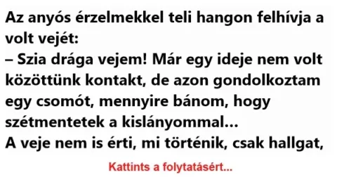 Vicc: Az anyós érzelmekkel teli hangon felhívja a volt vejét