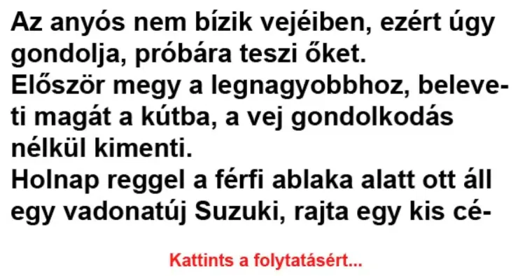 Vicc: Az anyós nem bízik vejéiben, ezért úgy gondolja, próbára Vicc: Az anyós nem bízik vejéiben, ezért úgy gondolja, próbára teszi őket -…
