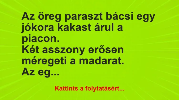 Vicc: Az öreg paraszt bácsi egy jókora kakast árul a Vicc: Az öreg paraszt bácsi egy jókora kakast árul a piacon
