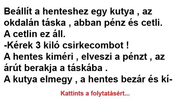 Vicc: Beállít a henteshez egy kutya Vicc: Beállít a henteshez egy kutya