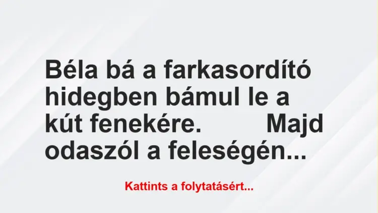 Vicc: Béla bá a farkasordító hidegben bámul le a kút Vicc: Béla bá a farkasordító hidegben bámul le a kút fenekére.
