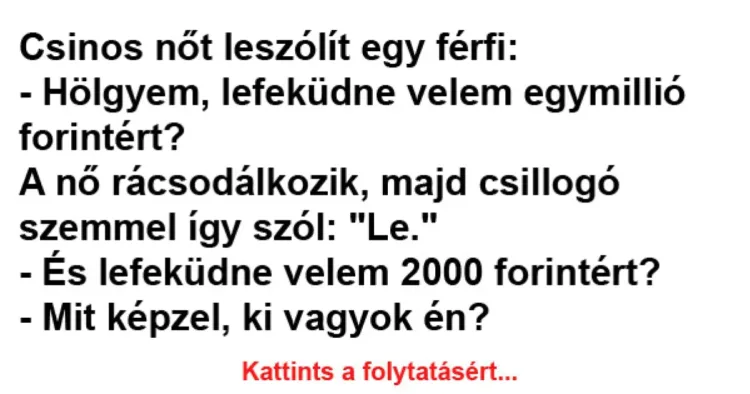 Vicc: Csinos nőt leszólít egy férfi - Vicc: Csinos nőt leszólít egy férfi –