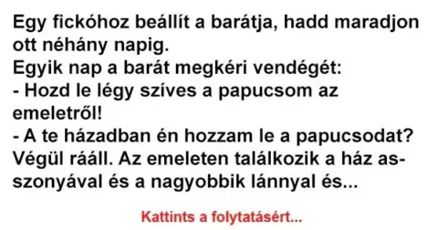 Vicc: Egy fickóhoz beállít a barátja, hadd maradjon ott néhány napig