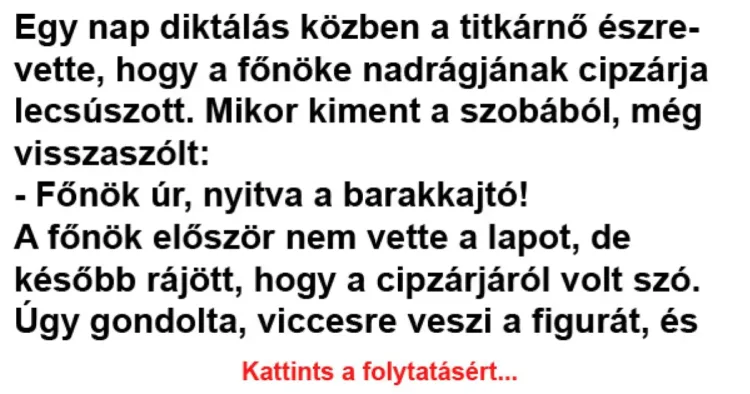 Vicc: Egy nap diktálás közben a titkárnő észrevette, hogy a... Vicc: Egy nap diktálás közben a titkárnő észrevette, hogy a…