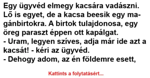 Vicc: Egy ügyvéd elmegy kacsára vadászni –
