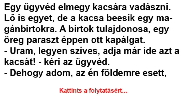 Vicc: Egy ügyvéd elmegy kacsára vadászni - Vicc: Egy ügyvéd elmegy kacsára vadászni –