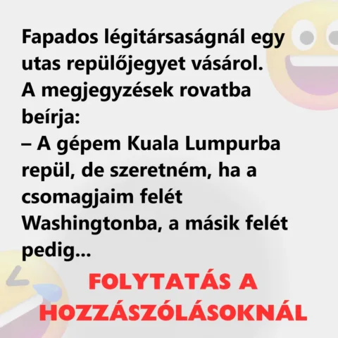 Vicc: Fapados légitársaságnál egy utas repülőjegyet vásárol