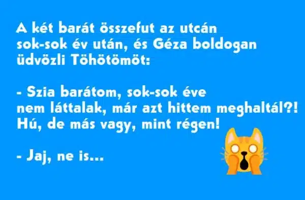 Vicc: Géza és Töhötöm, két barát sok-sok év után találkozik. Vicc: Géza és Töhötöm, két barát sok-sok év után találkozik. Töhötöm…