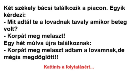 Vicc: Két székely bácsi találkozik a piacon –