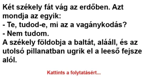Vicc: Két székely fát vág az erdőben