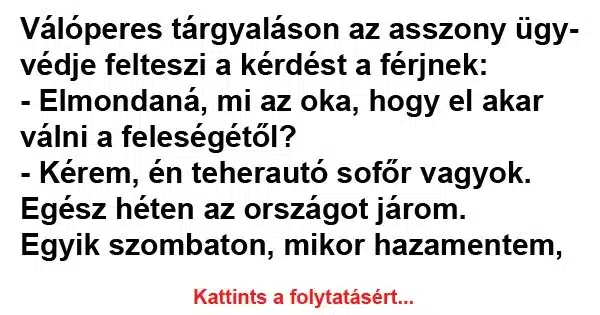 Vicc: Válóperes tárgyaláson az asszony ügyvédje Vicc: Válóperes tárgyaláson az asszony ügyvédje