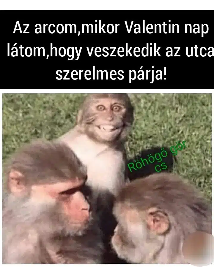 Vicces képek - 1739388739 Vicces képek – 1739388739