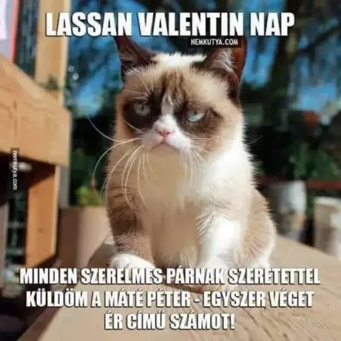 Vicces képek – 1739533908