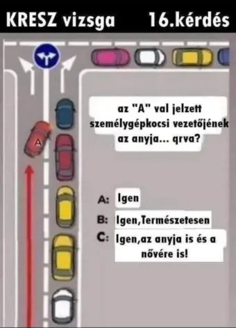 Vicces képek – 1739729918