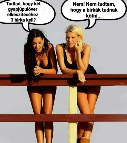 Vicces képek – 1739732406