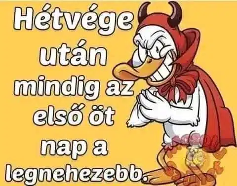 Vicces képek – 1739775605