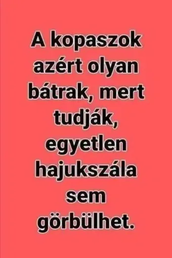 Vicces képek – 1739865608