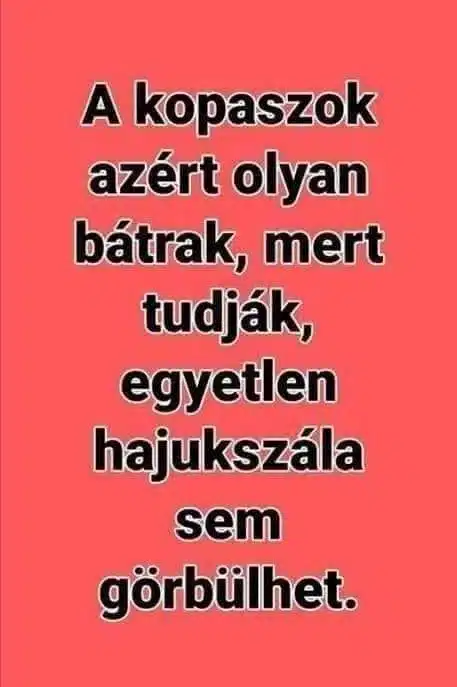 Vicces képek – 1739865608