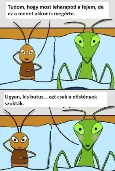 Vicces képek – 1739889952
