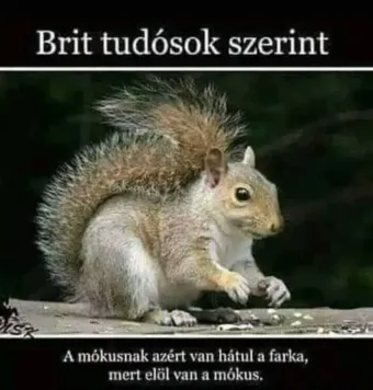 Vicces képek – 1739895797