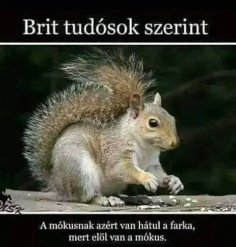 Vicces képek – 1739895797
