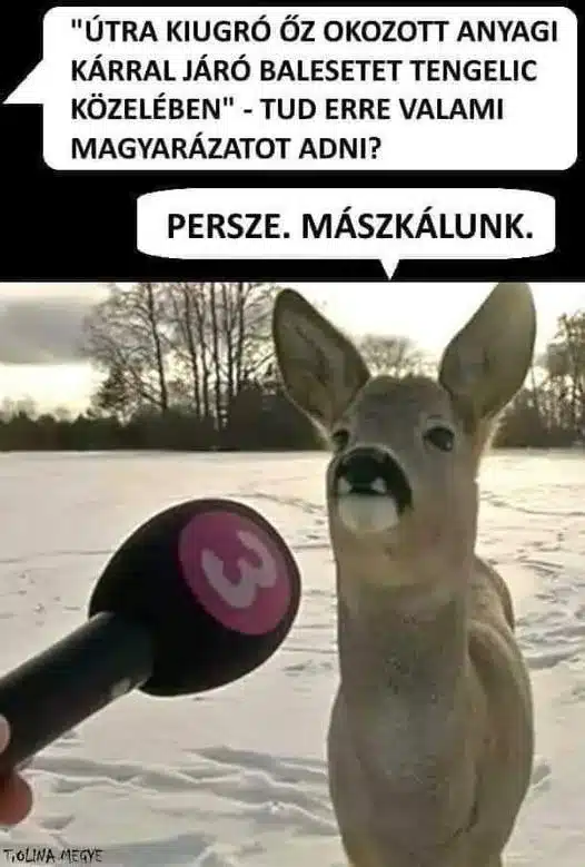 Vicces képek - 1739896016 Vicces képek – 1739896016