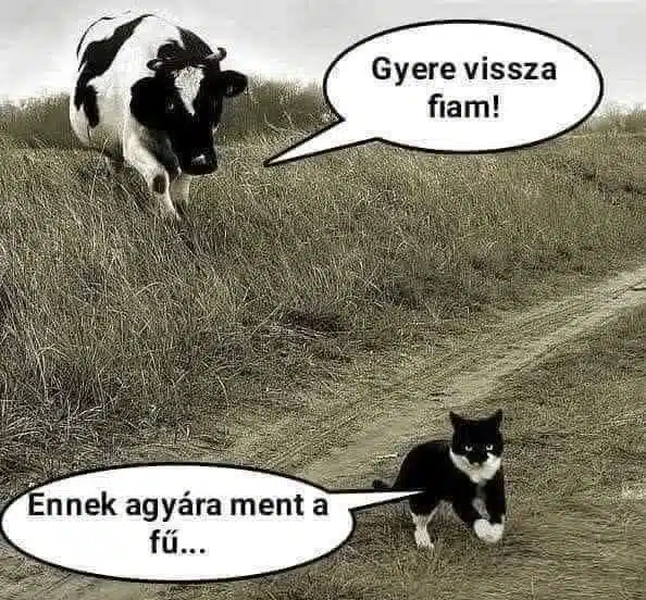 Vicces képek - 1739988007 Vicces képek – 1739988007