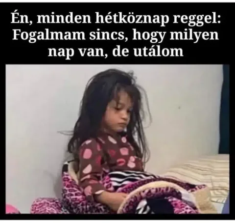 Vicces képek – 1740121201